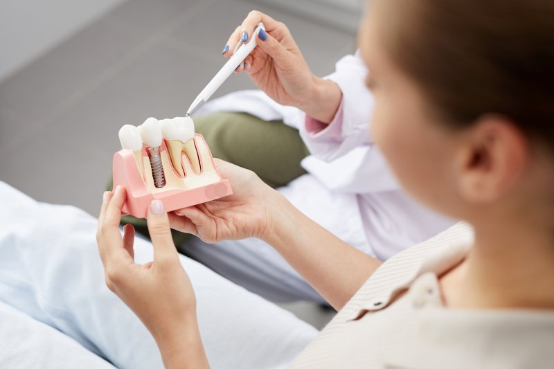 A dentist showing a patient a cross-section of a mold that includes a dental implant situated between two healthy teeth